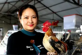 辞职美女卖“元宝鸡”，一枚鸡蛋卖百元，一只鸡卖一千元，啥情况图片