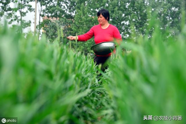 浠€涔堟槸姘ㄥ熀閰革紙鑲ワ級锛熷畠鏈夊摢浜涘啘涓氫环鍊硷紵濡備綍鎸戦€夊拰浣跨敤锛? onerror=