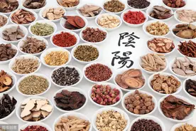 中医里的脏腑“互为表里”的具体含义是什么？图片