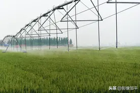 又（yòu）双（shuāng）叒（ruò）叕（zhuó）一喜讯！新华社报道邹平稿件获山东战“疫”好作品图片