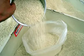 新米还是陈米，教你5个小妙招来判断，以后再也不花冤枉钱图片