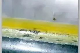 厨房隐秘的角落忽视不得！用小小神器，告别厨房发霉“黑边”图片