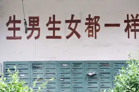 生二胎为给大宝留个伴！一位曾经的扶弟魔，如今觉醒的妈妈不赞同图片