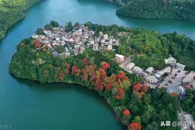 贵州贵阳：航拍花溪区石板镇布依寨，栾树花开色彩斑斓秋意浓图片