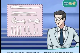 “阴茎骨”是什么？为什么人类没有？奇怪的知识增加了图片