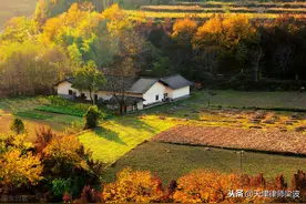 行政诉讼：征收拆迁中的行政赔偿标准，应参照补偿标准并予以上浮图片