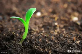 《土地管理法》第48条：被征地农民的土地补偿、养老等社会保障图片