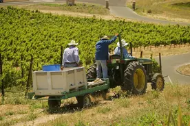 农业农村部、公安部：各地农业农村部门要严格拖拉机注册登记，对不符合国家标准的拖拉机一律不予注册登记图片