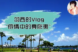 疫情中的夏威夷 | 羽西的一天防疫日记图片