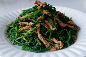 「酒酱油肉香丝菜」的做法+配方，茴香苗苗虽难嚼，这样做很美味图片