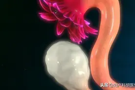 辟谣：长期没有性生活，女性的身体会变成这样吗？图片