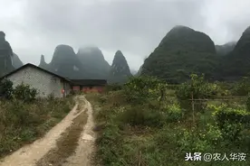 城镇籍子女可继承宅基地使用权，房屋快倒塌了可翻建吗？为什么？图片