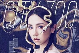 洪涛宣布《歌手》完结，昔日火爆综艺将回归，8年歌手你最爱谁图片