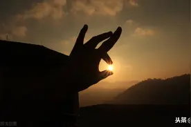 律师查询工商档案仅需提供律师证及律师所函图片