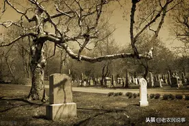 农村俗语：坟前不栽三，屋前不种四，指的都是哪些树？有道理吗？图片