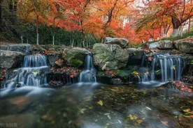 杭州九溪十八涧，景色的确宜人，可骗子也不少图片