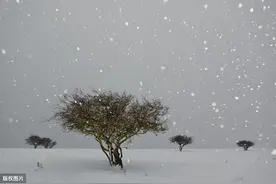《咏雪》出自刘义庆《世说新语》说诗歌才华、细致观察灵活想象力图片