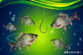 草洞钓鲫鱼的垂钓技巧，非常实用图片