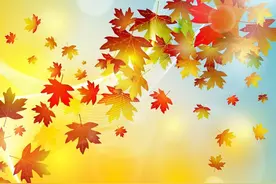 你是我的天使图片