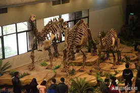 十一国庆中秋，川南自贡最值得去的四个景点还有2个旅游项目图片