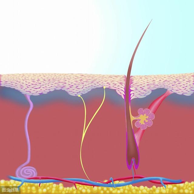 辟谣：用生姜擦头皮，真的能帮助头发生长吗？看完再试也来得及