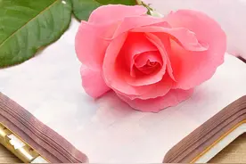 粗鄙的网络流行语“翻译”成古诗词，立刻就高大上了图片