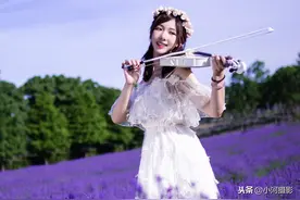 拉着小提琴的薰衣草女孩图片