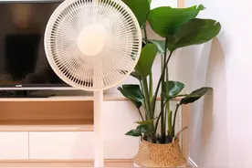 随叫随到的自然风，米家直流变频落地扇1X分享图片