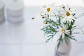 人到晚年，再找老伴是什么感觉？3个70岁老人说了大实话，很现实图片