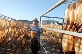 鱿鱼市场行情不好，低价卖不动，养殖户该如何应对？图片