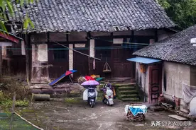 “不怕青龙高万丈，就怕白虎抬头望”，啥意思？真有道理吗？图片