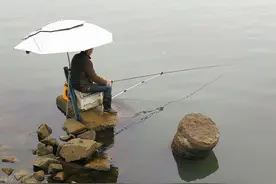 一提到突然停口，有人就想到是大鱼进窝，其实这7种原因更常见图片