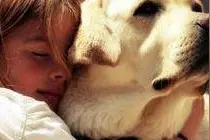 大学生竟敢在宿舍养宠物，当宿管检查时，有人会直接藏被窝里图片