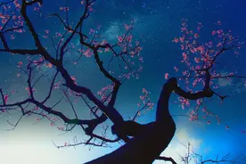 放下一个人最好的方式：失望攒够，自己离开图片