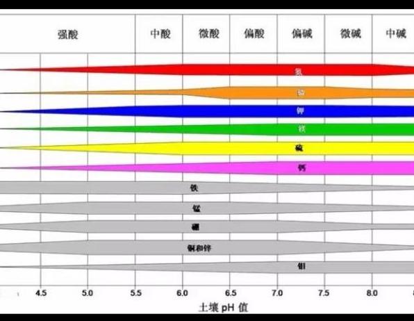 濡備綍缁欒憽钀勫揩閫熻ˉ閾? onerror=