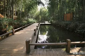 苏轼：昨夜三更雨，浮生一日凉图片