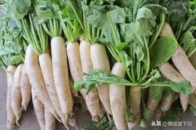 买萝卜时，别专挑大的，老菜农：这3种萝卜千万别买，很难吃图片