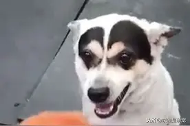 你是蜡笔小新吗，还是眼妆画的太浓了？图片