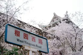 武汉大学校址原名罗家山，被硬改为珞珈山，背后故事耐人寻味图片