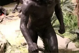 “做人事，说人话”，从祖先开始，人的意思有了怎样的演变？图片