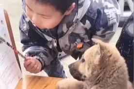 一个敢教一个敢学，狗子生无可恋~哈哈哈哈图片