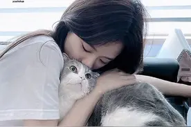 几款超级好用的眉笔，勾勒出自然眉型，面容精致，让你气质倍增图片