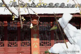 王安石见女儿生下大胖小子，还写下了一首趣诗，句句都是至理名言图片