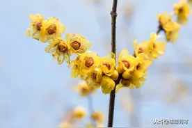出现这3大征兆，说明你可能是大器晚成，别灰心图片