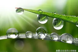 部编版二年级语文上册类文阅读—2 我是什么；小小水滴旅行记图片