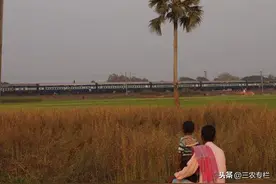 印度农村的生活，吃什么种什么，比生活在城市里舒服多了图片