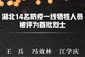 致敬！送别英雄！湖北14名防疫一线牺牲人员被评为首批烈士图片