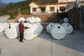 “旱厕改水厕”被吐槽？上厕所比“上班”还难！网友：太真实图片