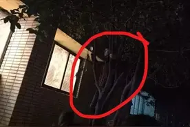 赵露思男粉喊话：天南地北，露思最美，赵露思：我自己都不信图片