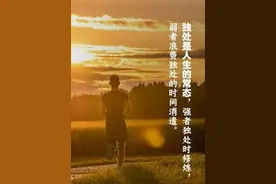 独处是人生的常态，低质量的社交，不如高质量的独处图片